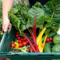 The Benefits of Choosing Organic Foods