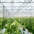 Why Dr. Bill Releford's Positive Impact Farming Practices Matter For Organic Farmers
