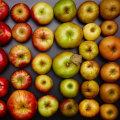 The Truth About Organic Foods: An Expert's Perspective