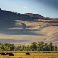 Farm or Ranch? Know the Difference Between a Farm and a Ranch and What Each One Specializes In