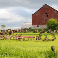 Maximizing Profits in Organic Farming: Proven Strategies for Small Farmers