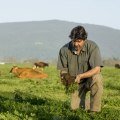 Learn About The Advantages Of Organic Farming PPT And Transform Your Farming Techniques