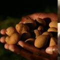 The Truth About Organic Farming and Your Health