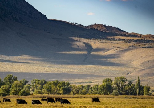 Farm or Ranch? Know the Difference Between a Farm and a Ranch and What Each One Specializes In