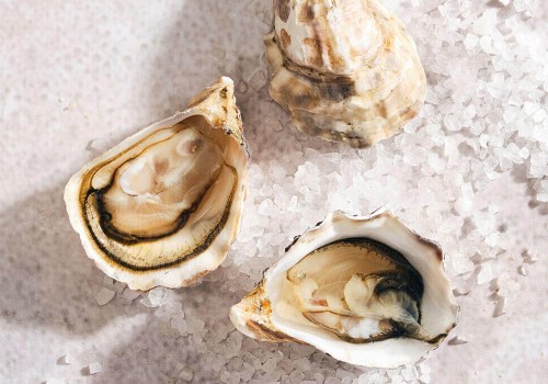 Why Are Kusshi Oysters Called the Perfect Oyster?