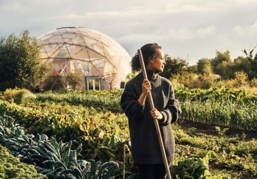 Small Farms, Global Impact: Intensive Subsistence Agriculture and How It Powers Local Food Systems
